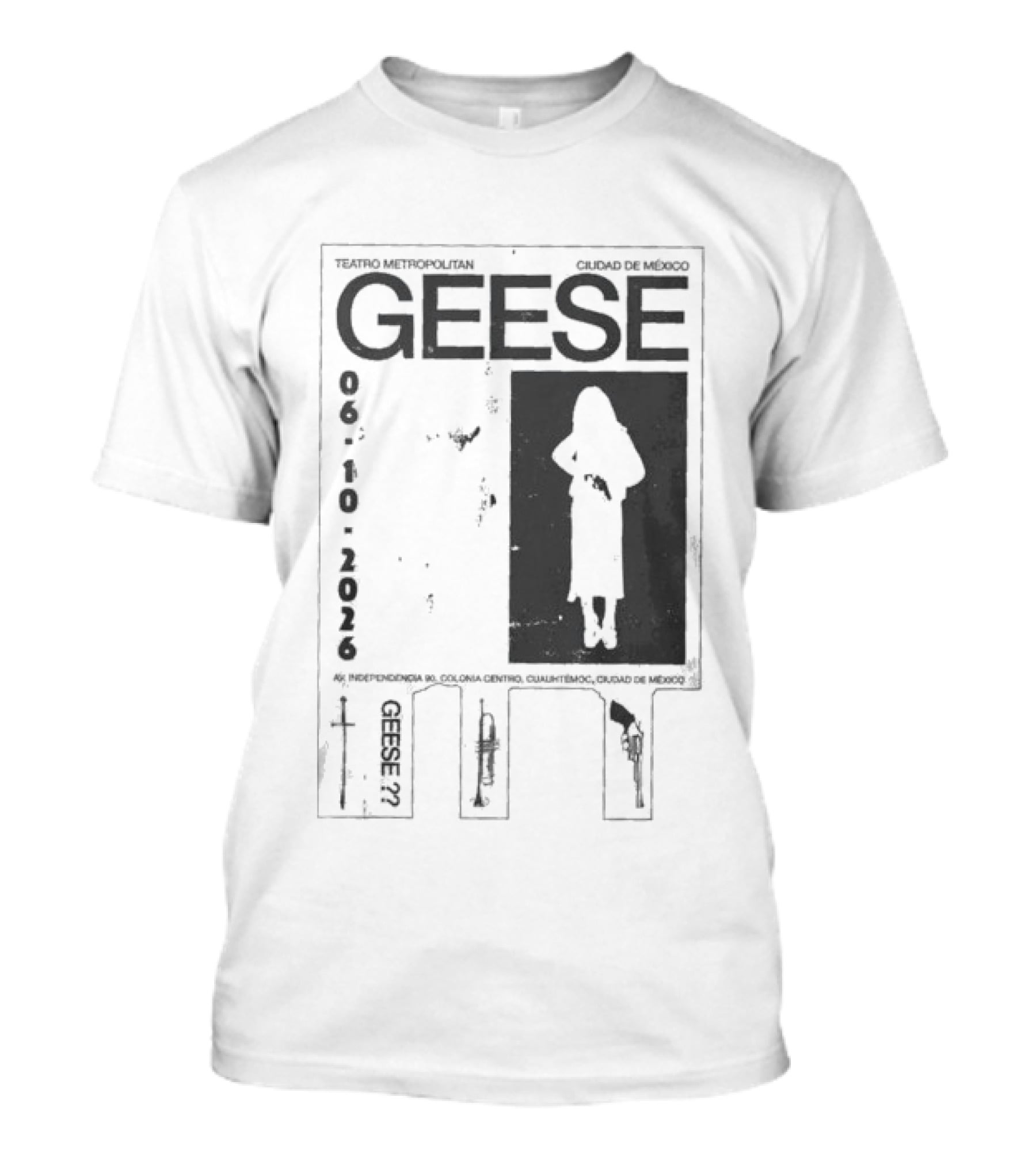 Teatro Metropolitan Mexico Geese Oct 6 2026 T-Shirt