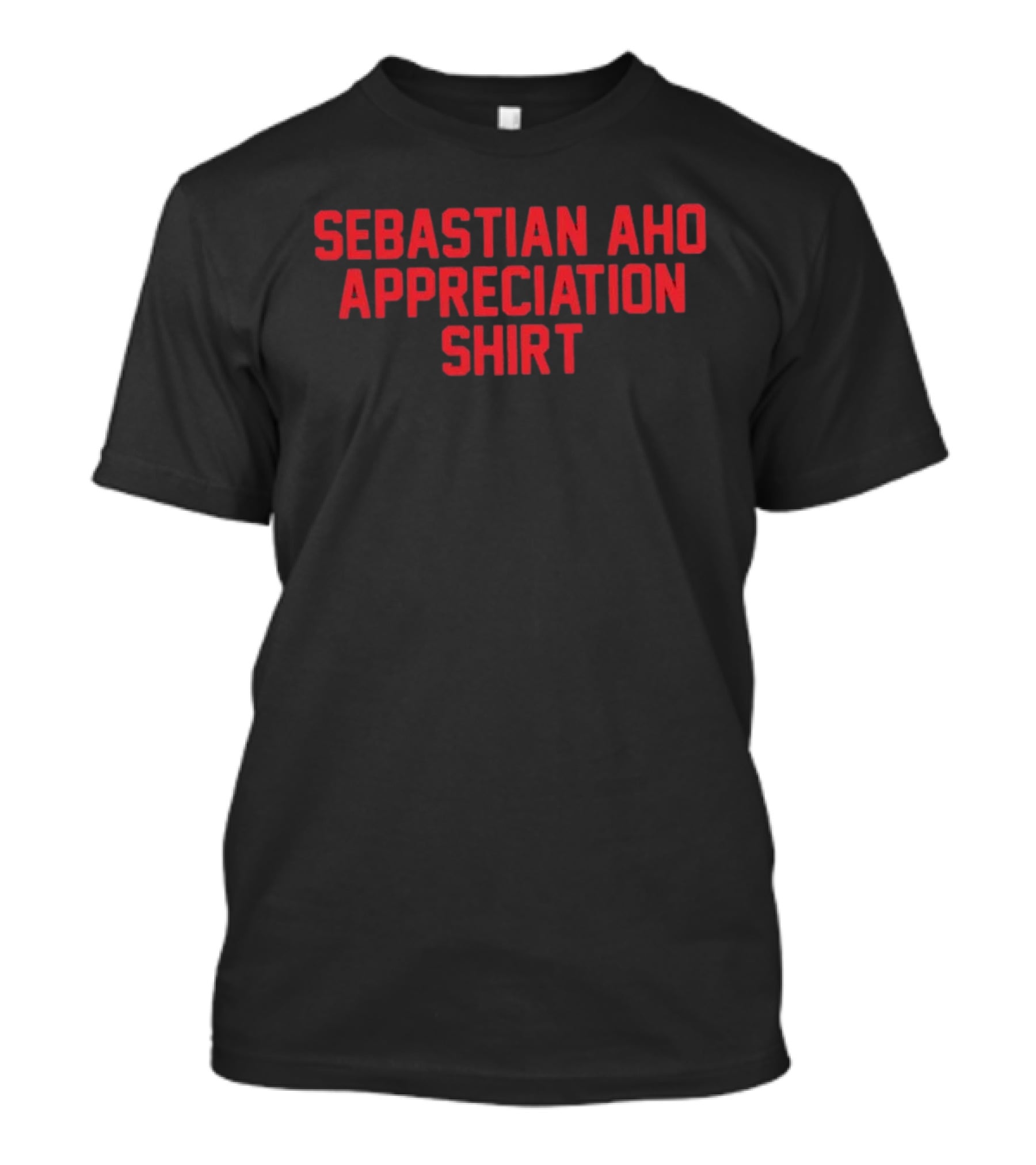 Carolina Hurricanes Hockey Sebastian Aho Appreciation T-Shirt