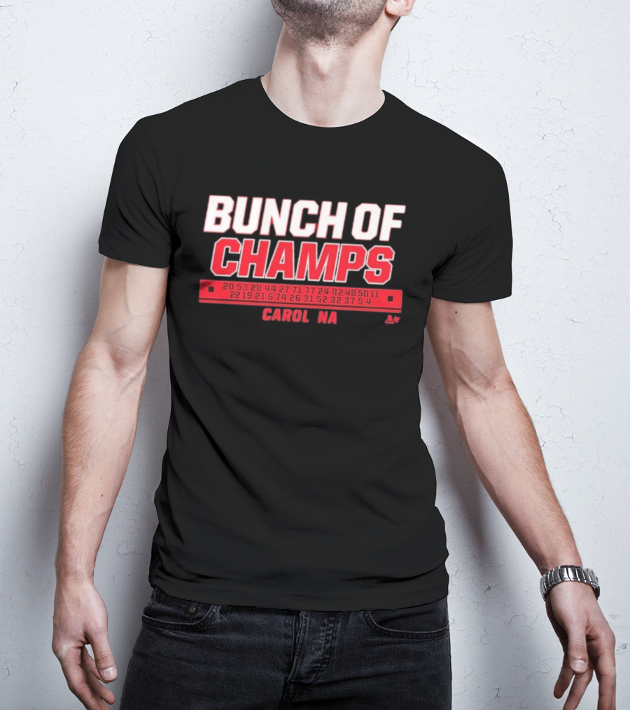 Bunch Of Champs Carolina Hockey Numbers Series T-Shirt