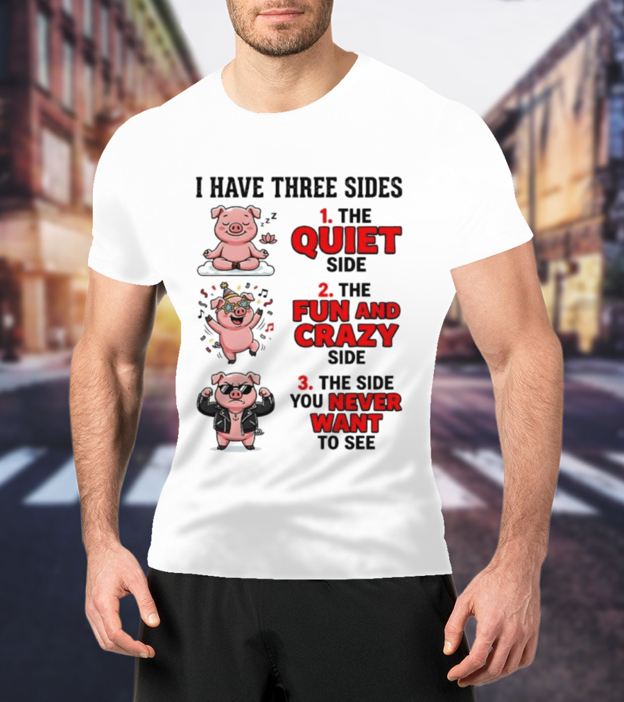 Pig I Have Three Sides Quiet Fun Crazy Never Want To See T-Shirt