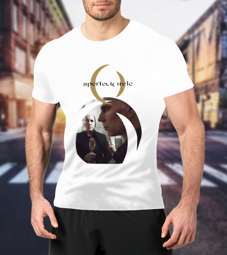A Perfect Circle 2026 Tour Image With Band Members T-Shirt