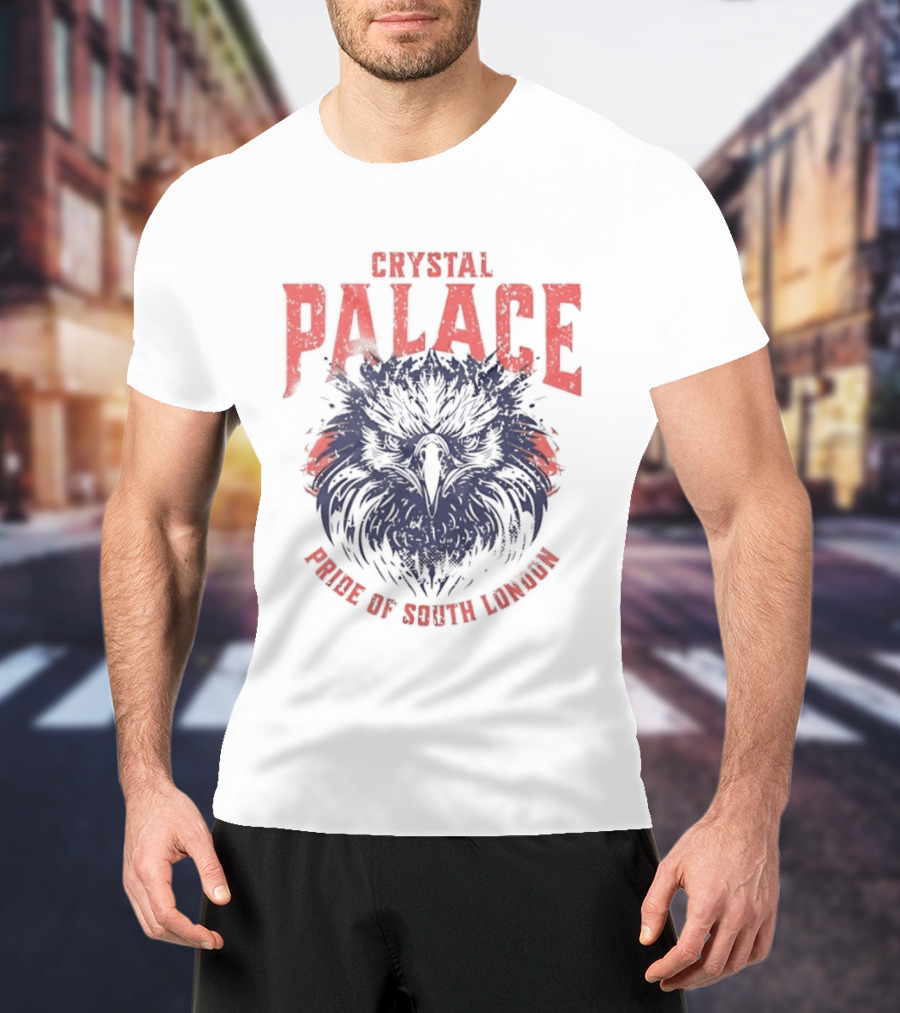 Crystal Palace Power Of South London Pride Eagle T-Shirt