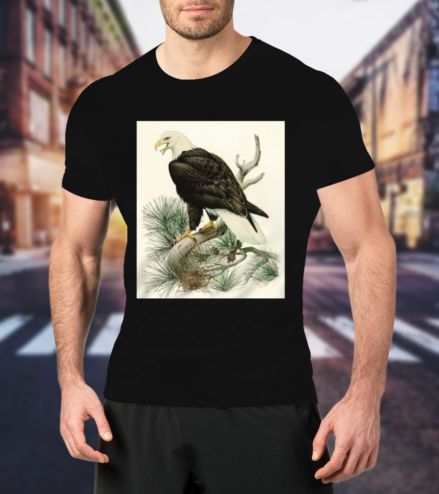 Roger Tory Peterson Bald Eagle Illustration On Stone Background 2026 T-Shirt