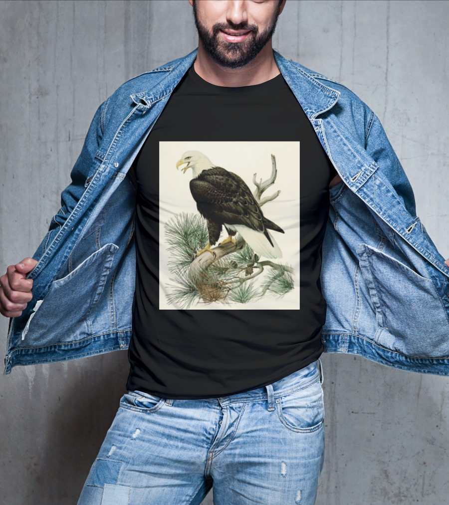 Roger Tory Peterson Bald Eagle Illustration On Stone Background 2026 T-Shirt