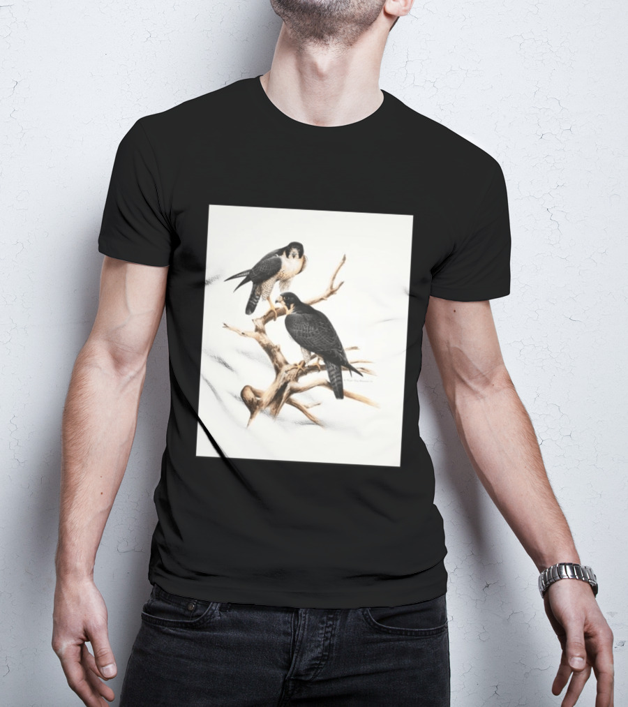 Roger Tory Peterson Peregrines 2026 Adult Ash Bird T-Shirt