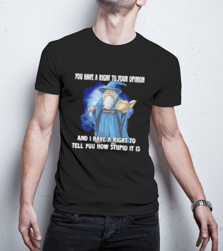 Wizard You Have A Right To Your Opinion And I Have A Right To Tell You How Stupid It Is T-Shirt