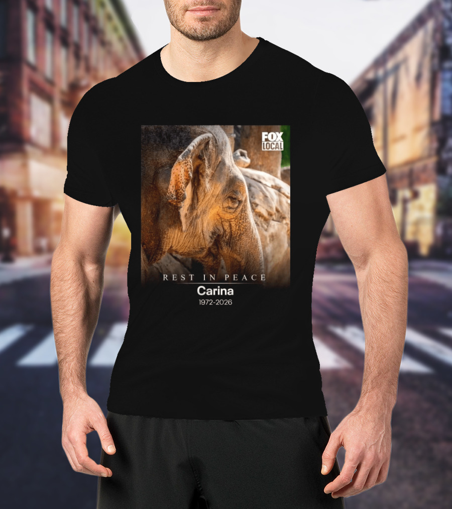 Rest In Peace Carina 1972 2026 Elephant Fox Local Memorial T-Shirt