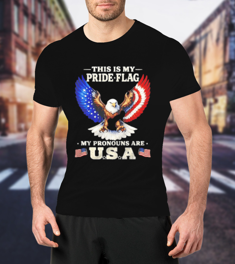 This Is My Pride Flag American Eagle My Pronouns Are USA T-Shirt