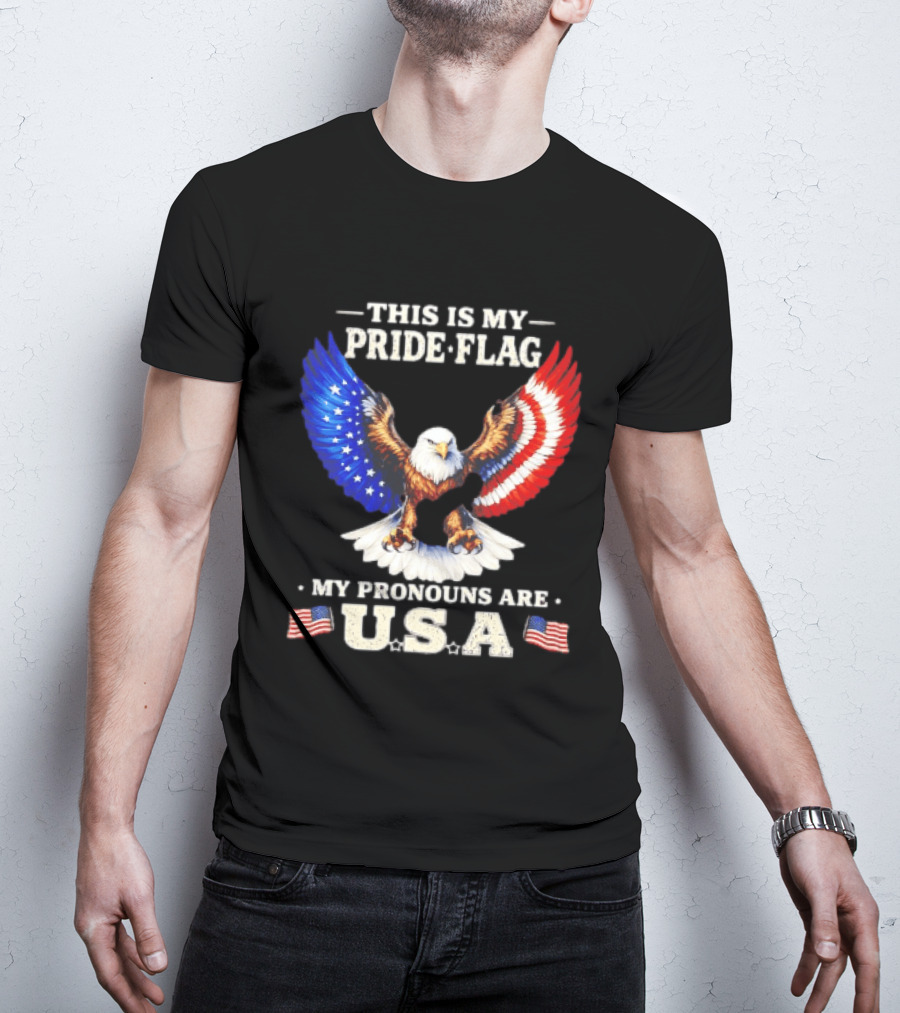 This Is My Pride Flag American Eagle My Pronouns Are USA T-Shirt