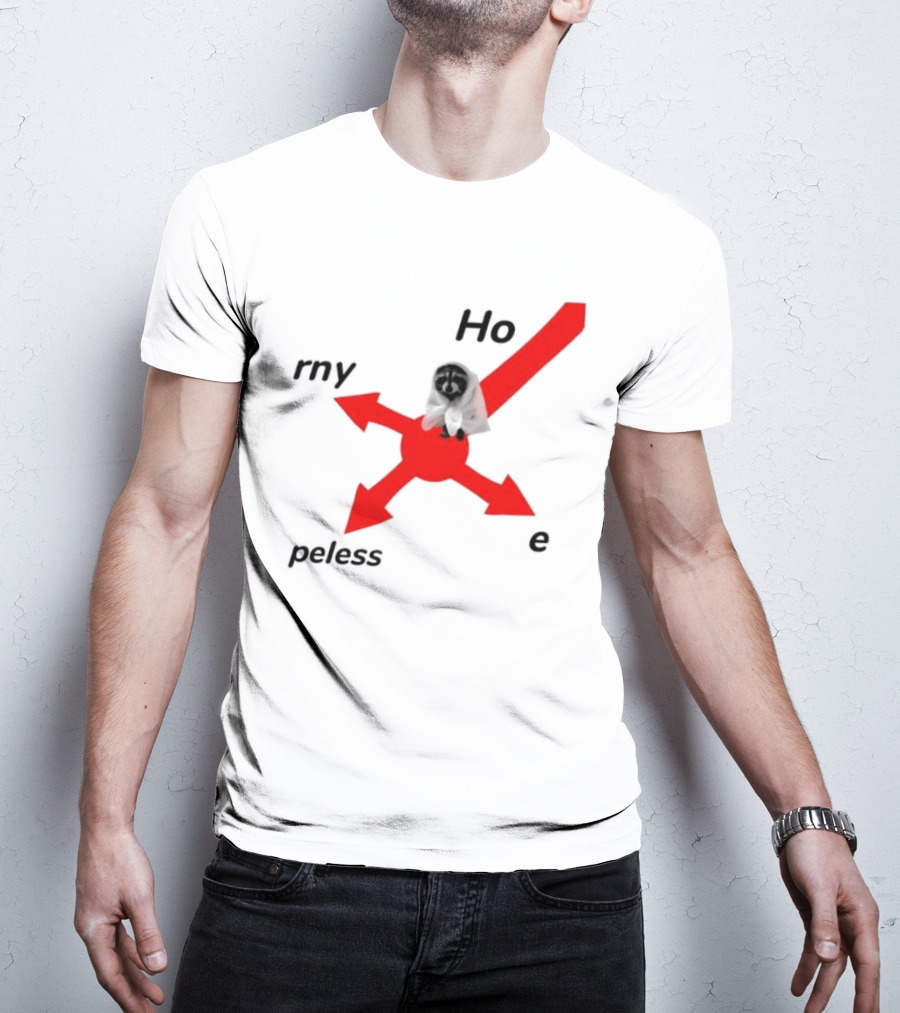 Raccoon Meme Ho Rny Peless Compass T-Shirt