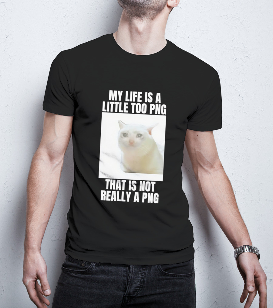 My Life Is A Little Too PNG That Is Not Really A PNG Cat Meme T-Shirt