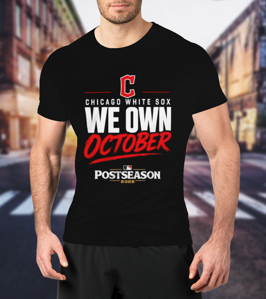 Chicago White Sox We Own October MLB Postseason 2026 T-Shirt