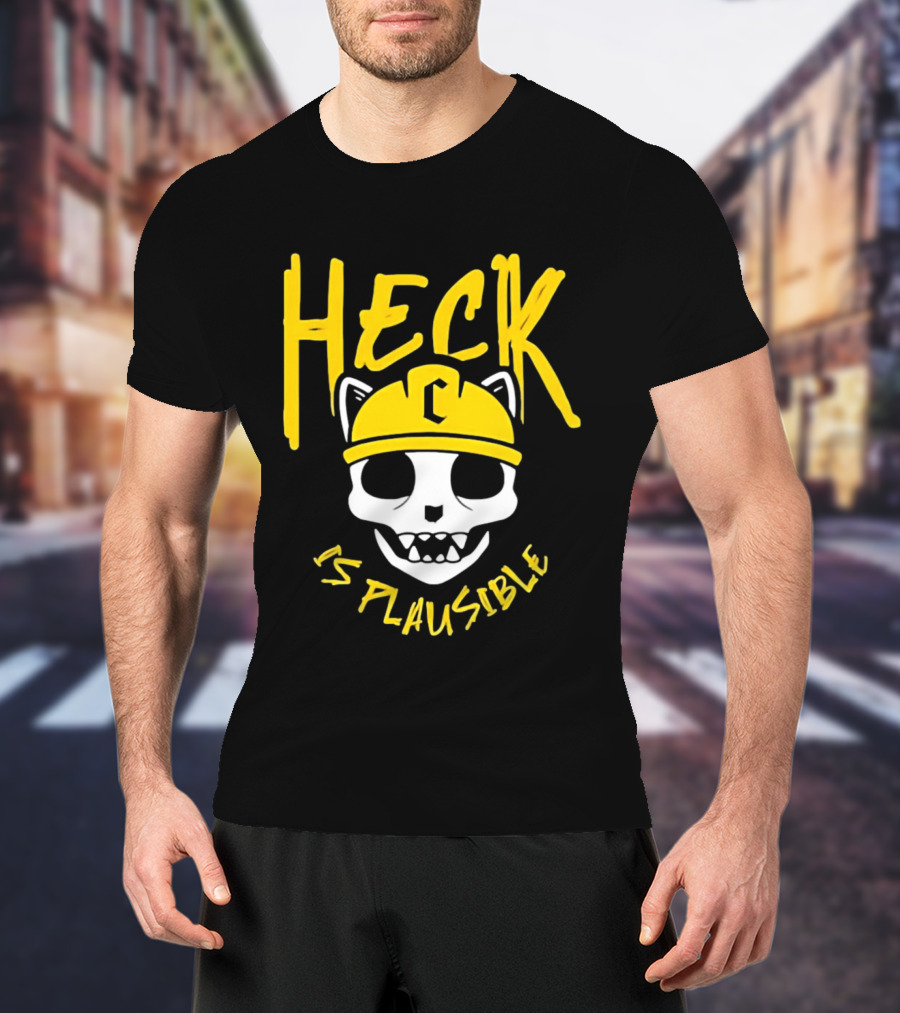 Heck Is Plausible Cat Skull Construction Helmet T-Shirt