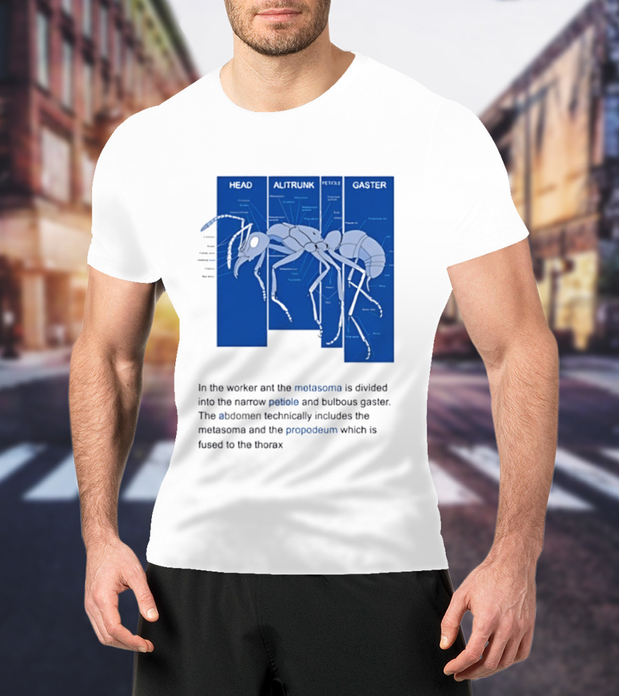 Worker Ant Diagram Head Alitrunk Gaster Metasoma Petiole Biology T-Shirt