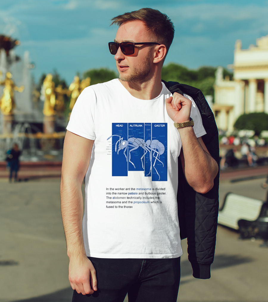 Worker Ant Diagram Head Alitrunk Gaster Metasoma Petiole Biology T-Shirt