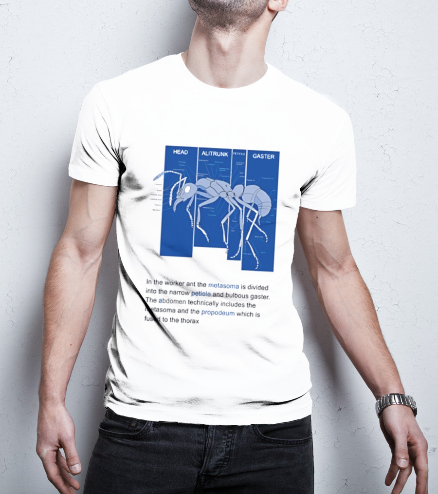 Worker Ant Diagram Head Alitrunk Gaster Metasoma Petiole Biology T-Shirt