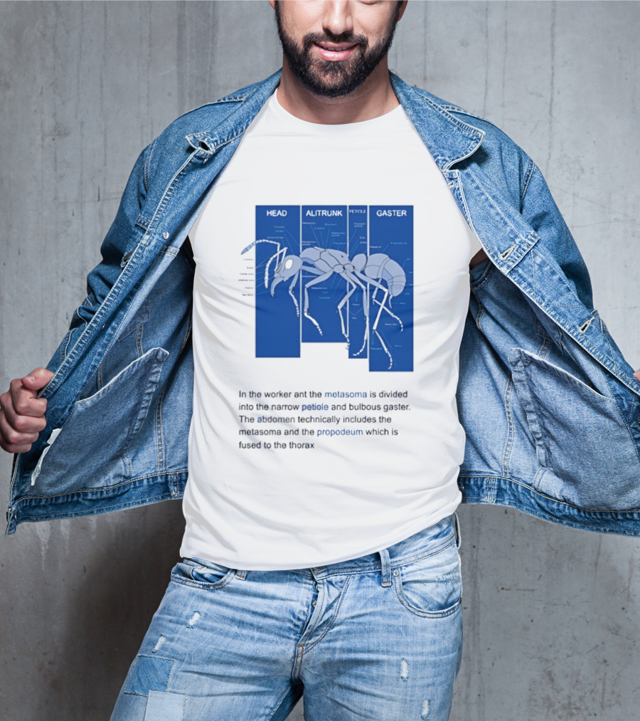 Worker Ant Diagram Head Alitrunk Gaster Metasoma Petiole Biology T-Shirt