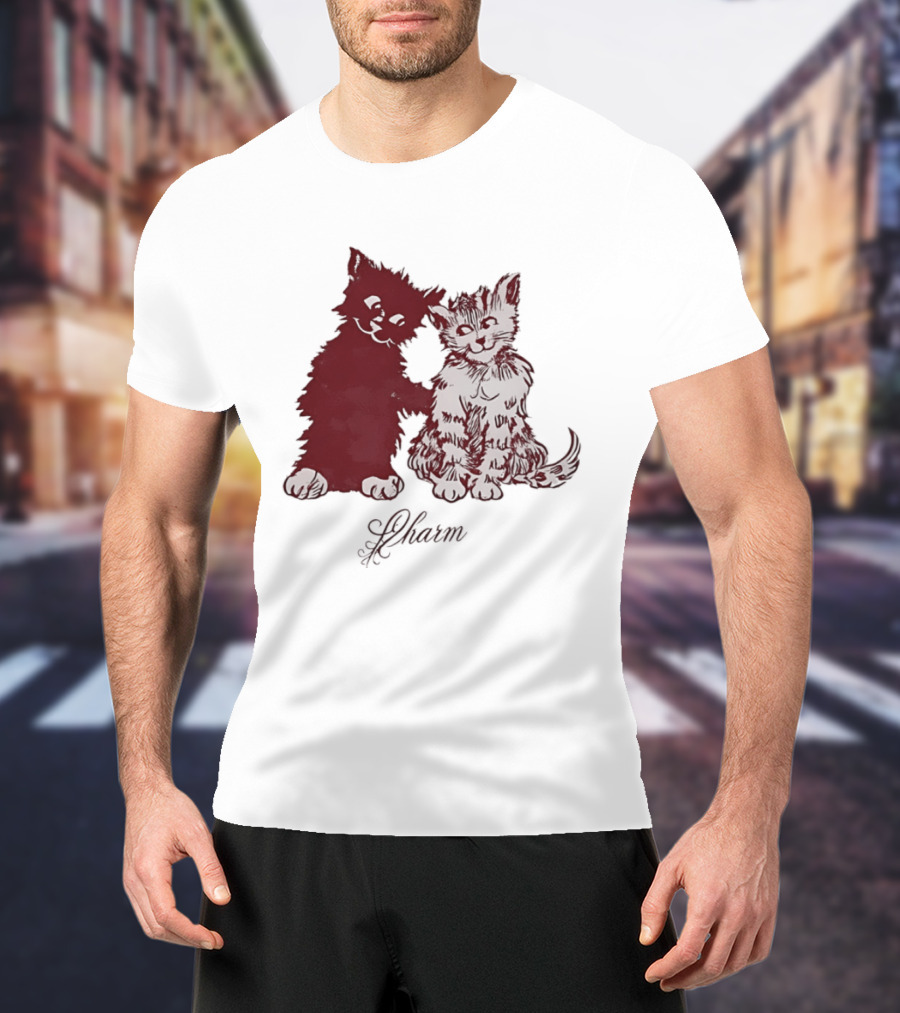 Charm Kittens Cats Hugging T-Shirt