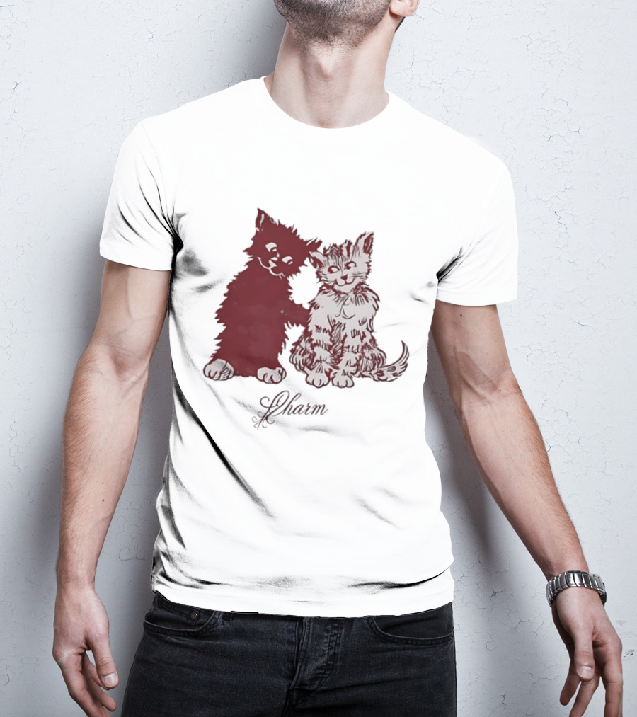 Charm Kittens Cats Hugging T-Shirt
