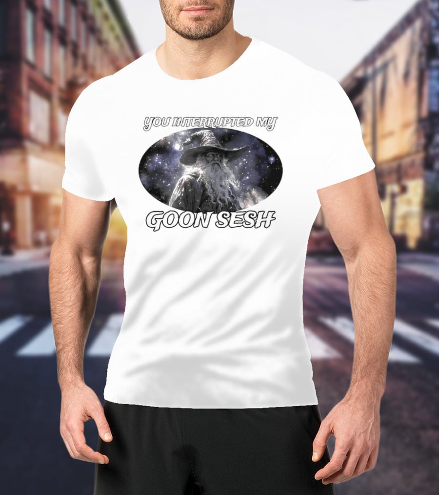 You Interrupted My Goon Sesh Wizard T-Shirt