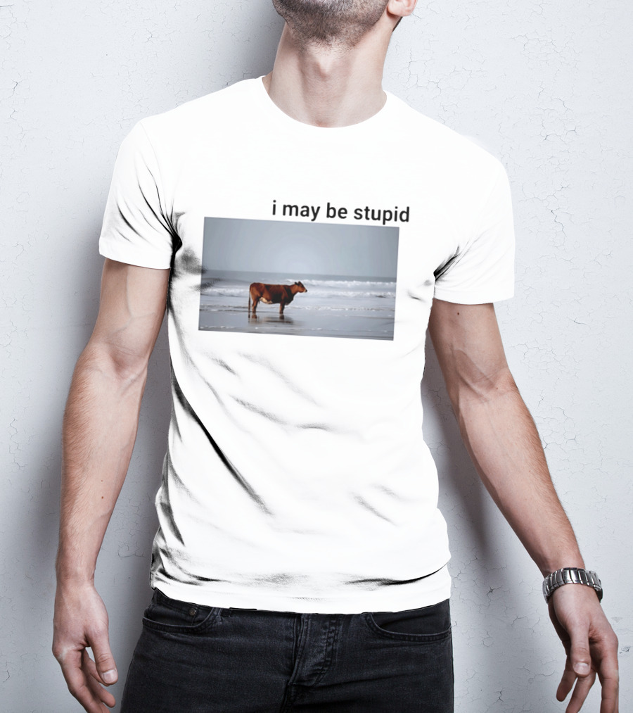 I May Be Stupid Cow At The Beach T-Shirt