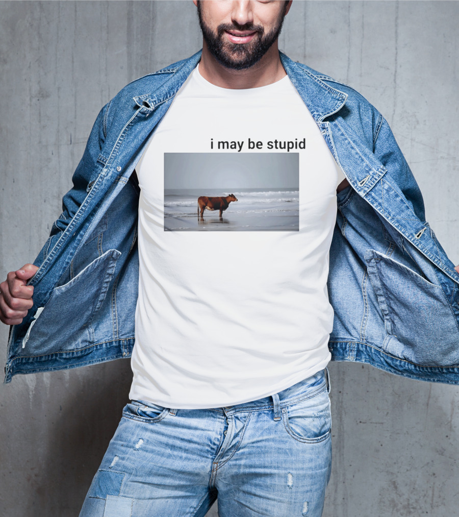 I May Be Stupid Cow At The Beach T-Shirt