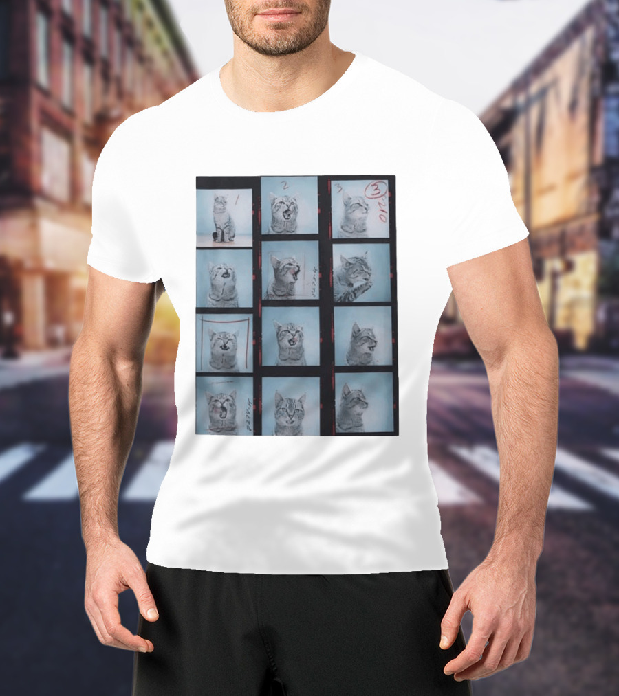 Tabby Cat Film Strip Series With Numbered Frames And Annotations T-Shirt