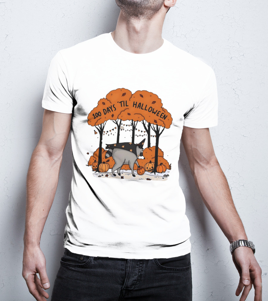 100 Days 'til Halloween Raccoon Wizard Costume In Pumpkin Patch Forest T-Shirt