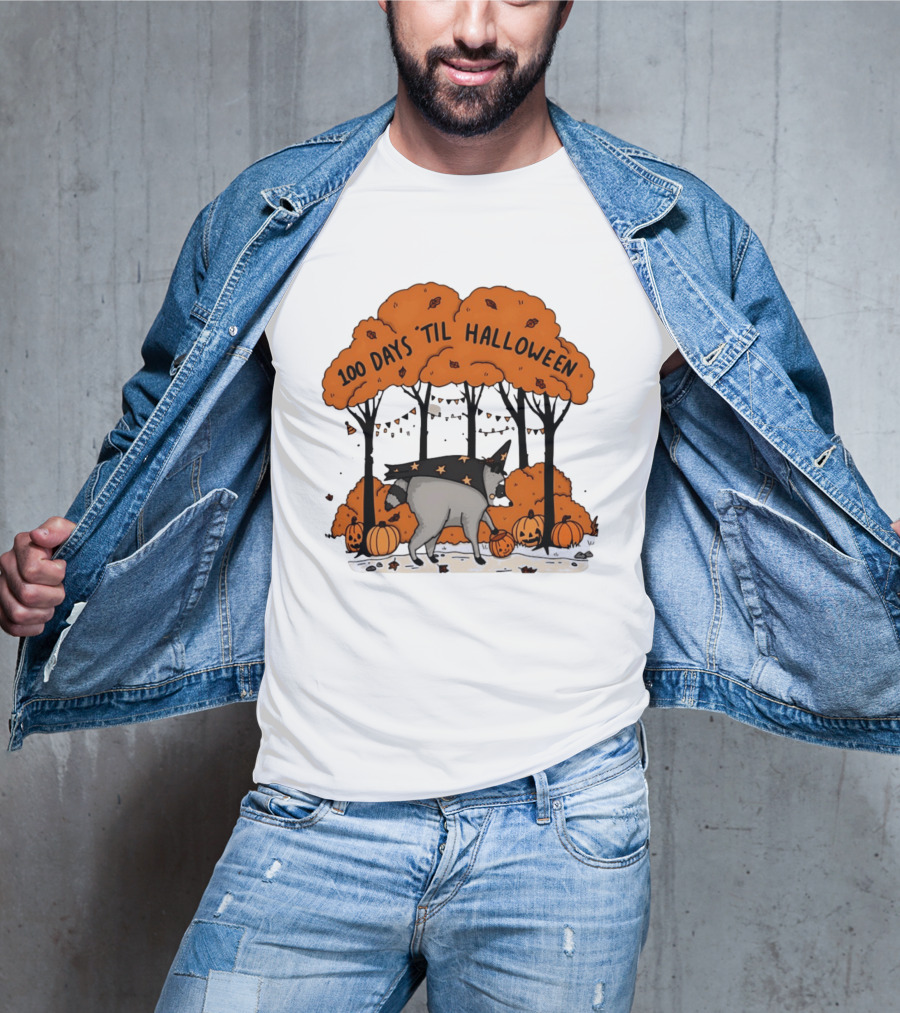 100 Days 'til Halloween Raccoon Wizard Costume In Pumpkin Patch Forest T-Shirt