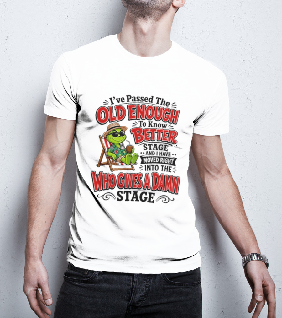 I've Passed Into The Grinch Old Enough To Know Better Who Gives A Damn Stage T-Shirt