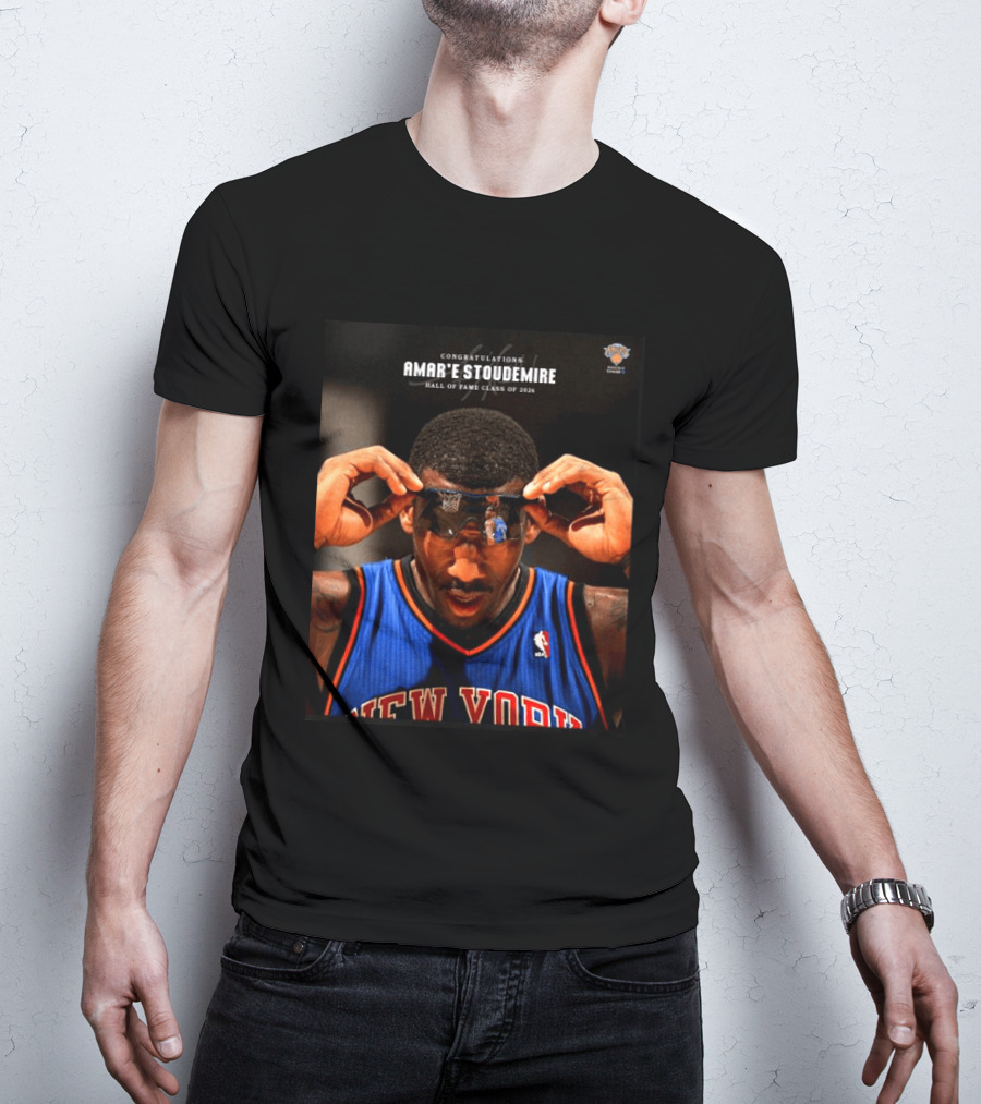 Congratulations Amar'e Stoudemire New York Knicks Hall Of Fame Class Of 2026 T-Shirt