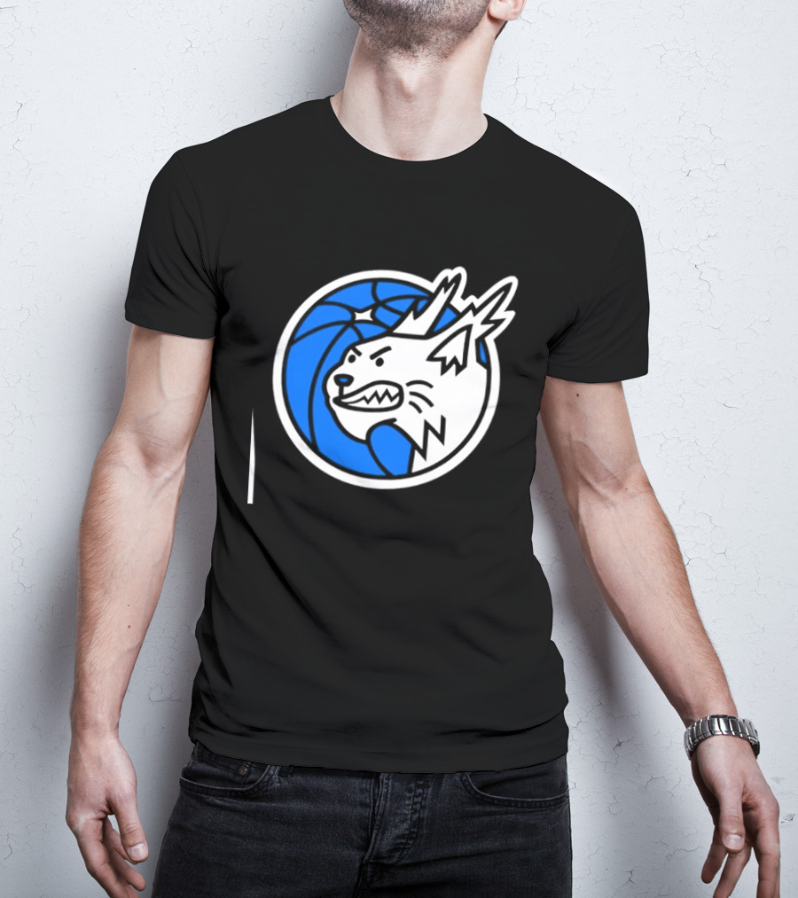 Minnesota Lynx Basketball WNBA Team T-Shirt