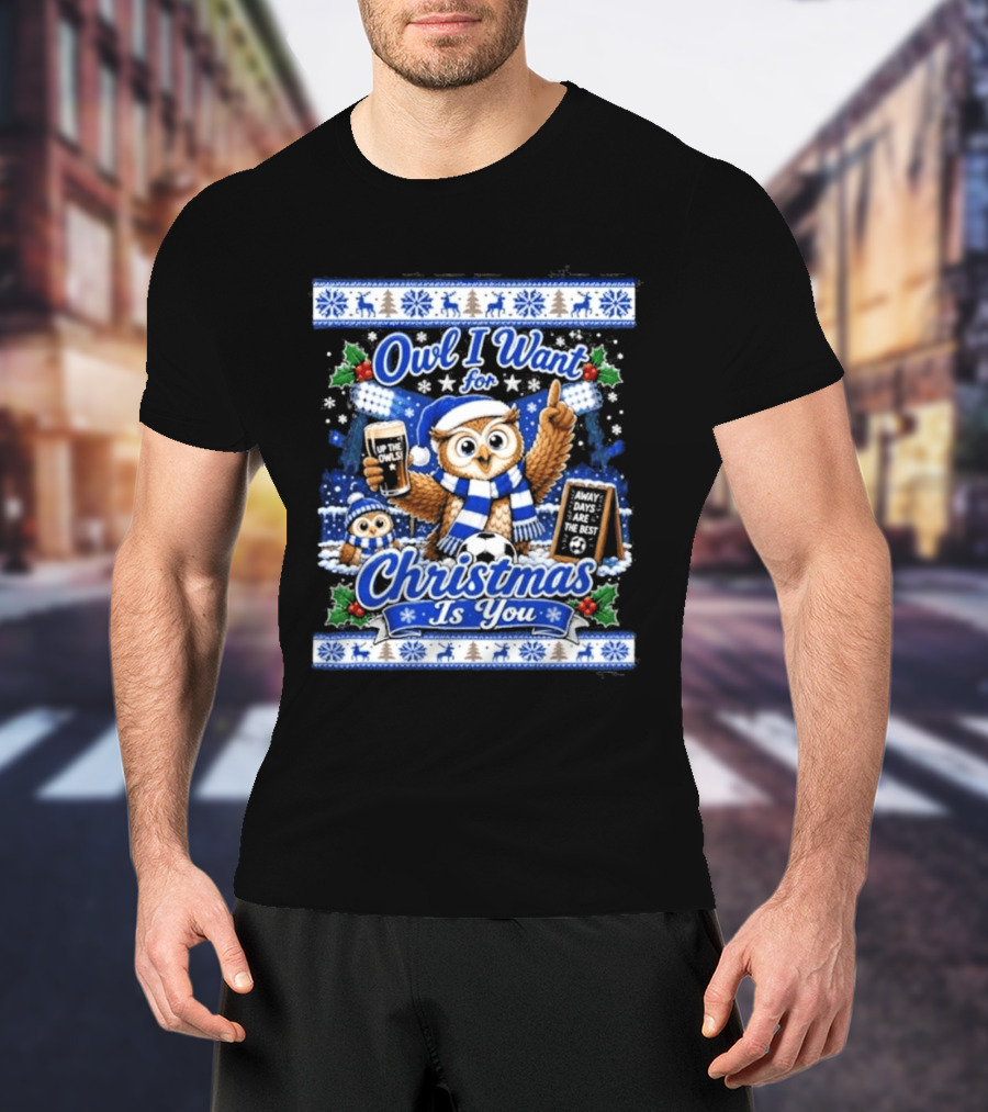 Owl I Want For Christmas Is You Sheffield Wednesday Jumper T-Shirt