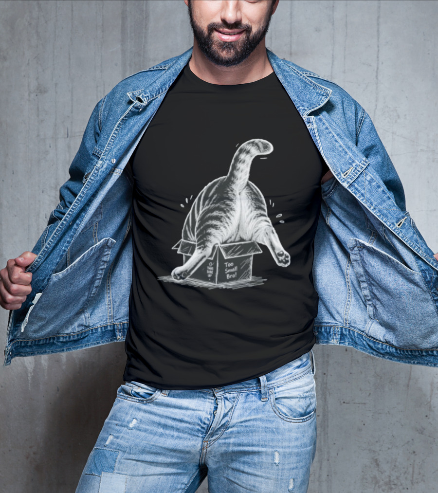 Too Small Bro Tabby Cat Stuck In Box Rear View T-Shirt