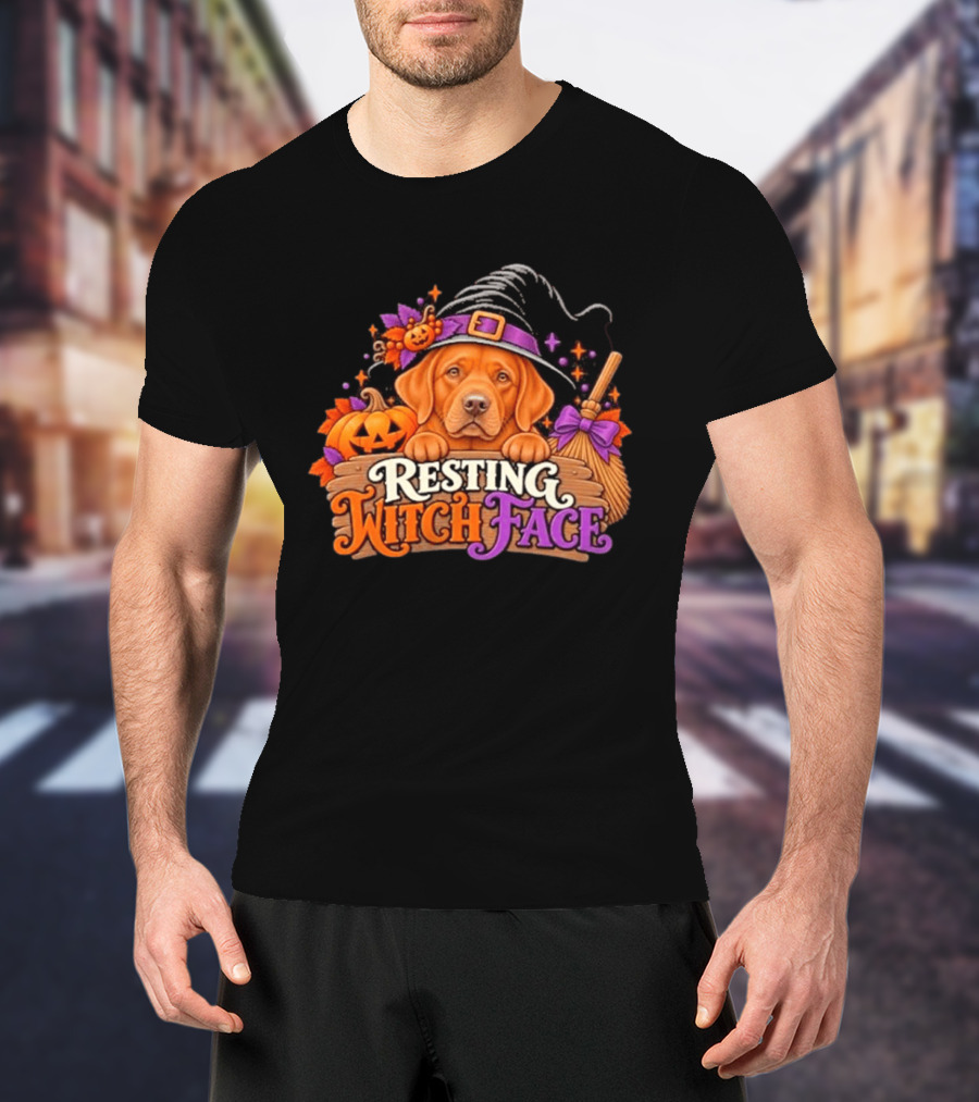 Resting Witch Face Dog Witch Hat Pumpkin Broom Halloween T-Shirt
