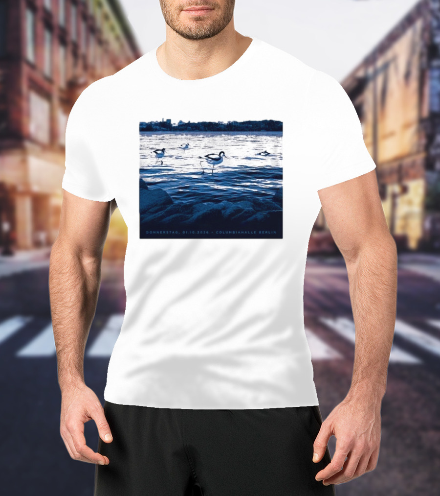 Donnerstag 01.10.2026 Columbiahhalle Berlin Death Cab For Cutie Birds By Water T-Shirt