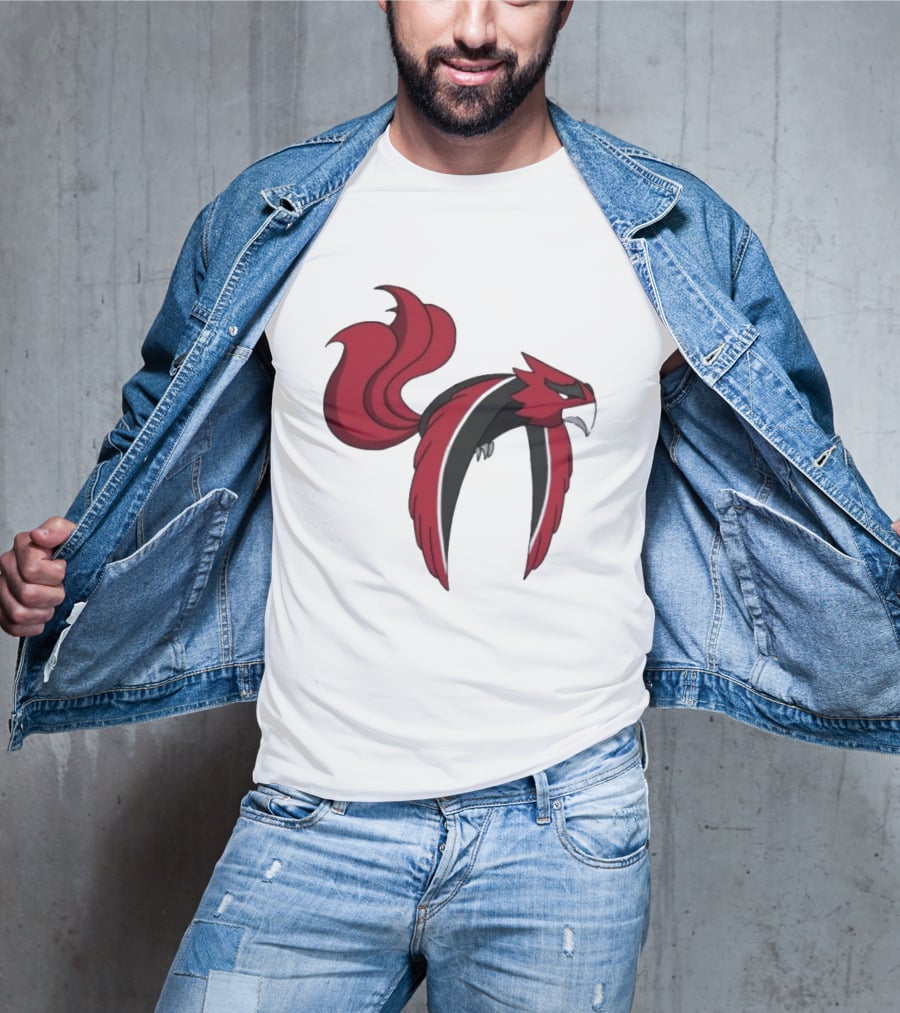 Atlanta Falcons Pokemon Mashup Bird T-Shirt