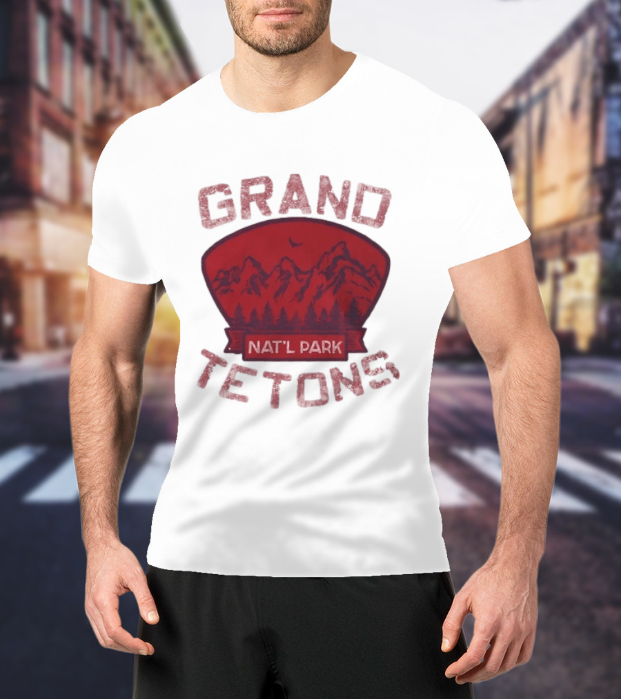 Grand Tetons Nat'l Park Distressed Mountain Landscape T-Shirt