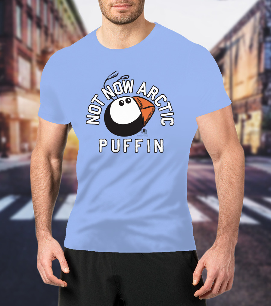 Not Now Arctic Puffin Mood Just Mike T-Shirt