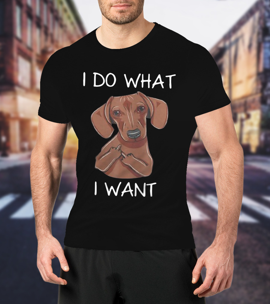 Dachshund I Do What I Want Funny Dachshund I Want T-Shirt
