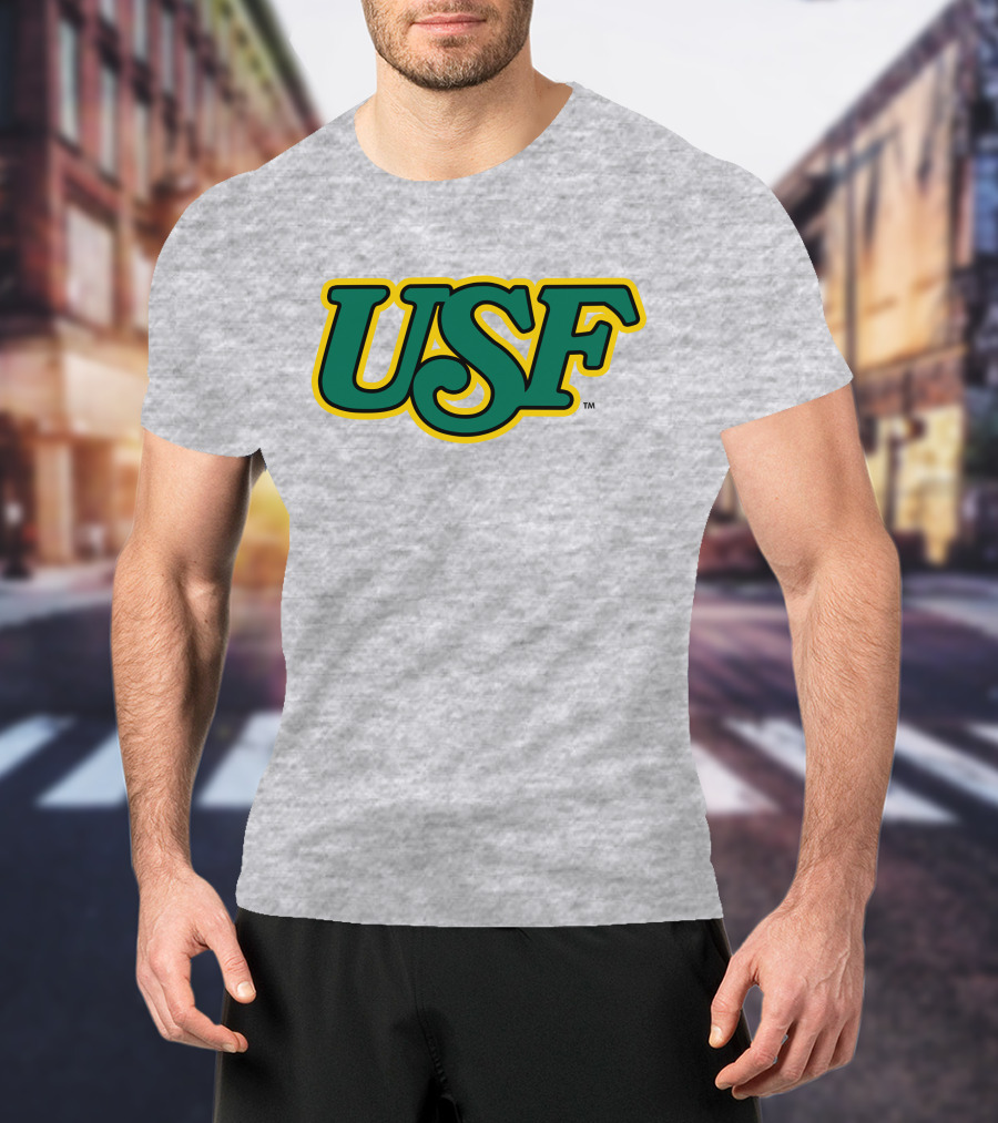 Homefield Apparel Store USF Vintage 1980s USF Logo Gray T-Shirt