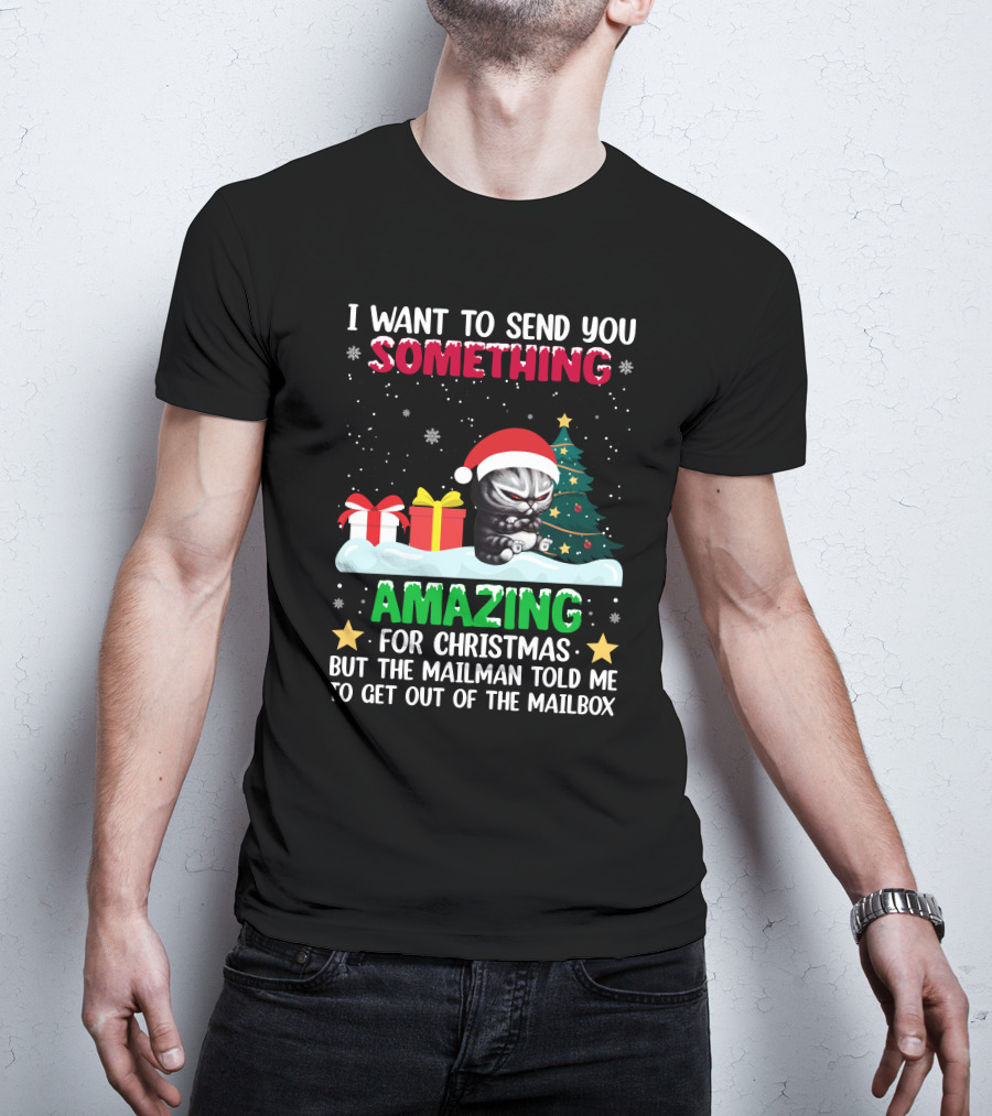 I Want To Send You Something Amazing For Christmas But The Mailman Told Me To Get Out Of The Mailbox Cat T-Shirt