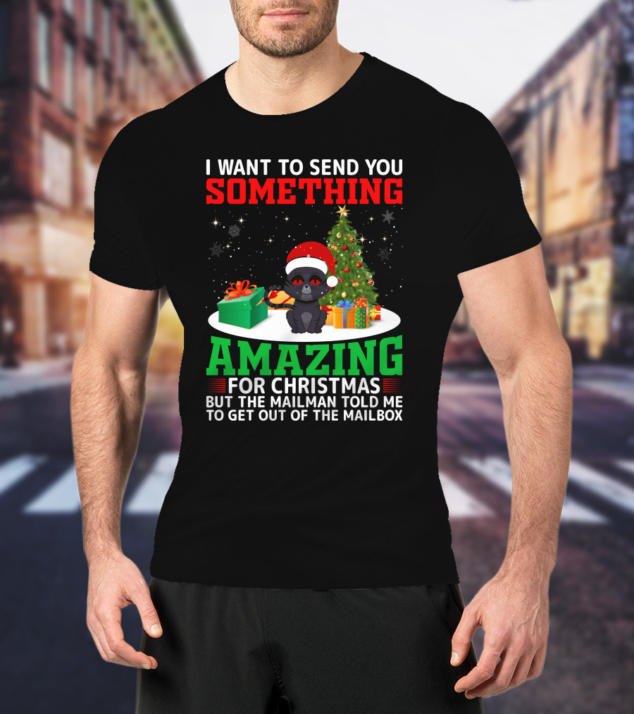 I Want To Send You Something Amazing For Christmas But The Mailman Told Me To Get Out Of The Mailbox T-Shirt