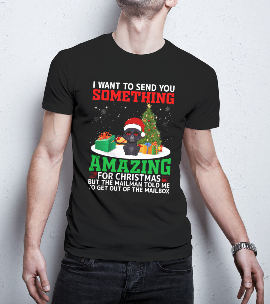 I Want To Send You Something Amazing For Christmas But The Mailman Told Me To Get Out Of The Mailbox T-Shirt