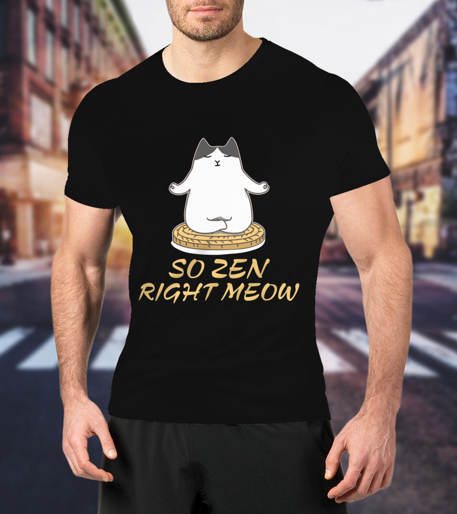 Relaxed Cat Meditating So Zen Right Meow T-Shirt