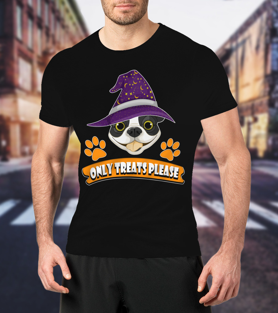 Boston Terrier Only Treats Please Wizard Hat And Paw Prints T-Shirt