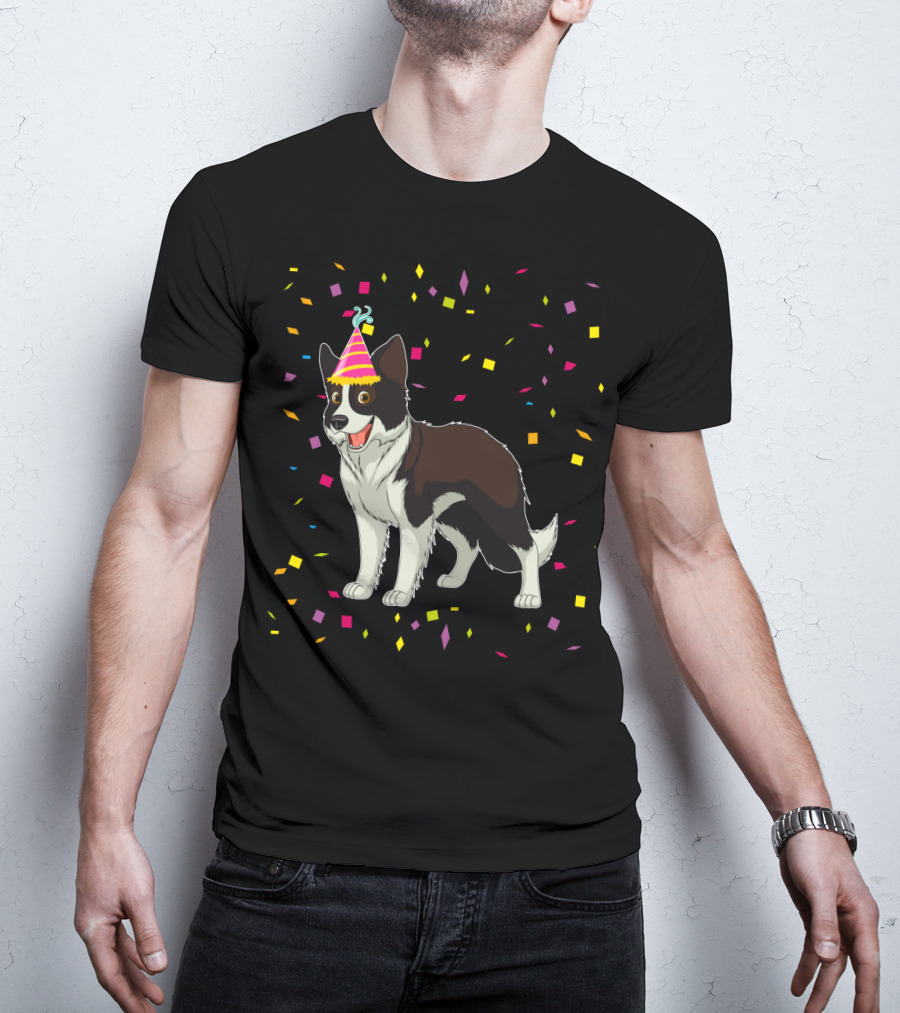 Funny Border Collie Birthday Party Hat Confetti T-Shirt