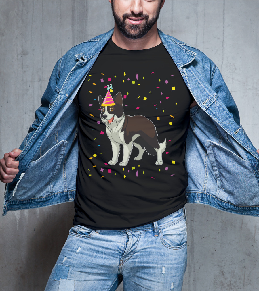 Funny Border Collie Birthday Party Hat Confetti T-Shirt