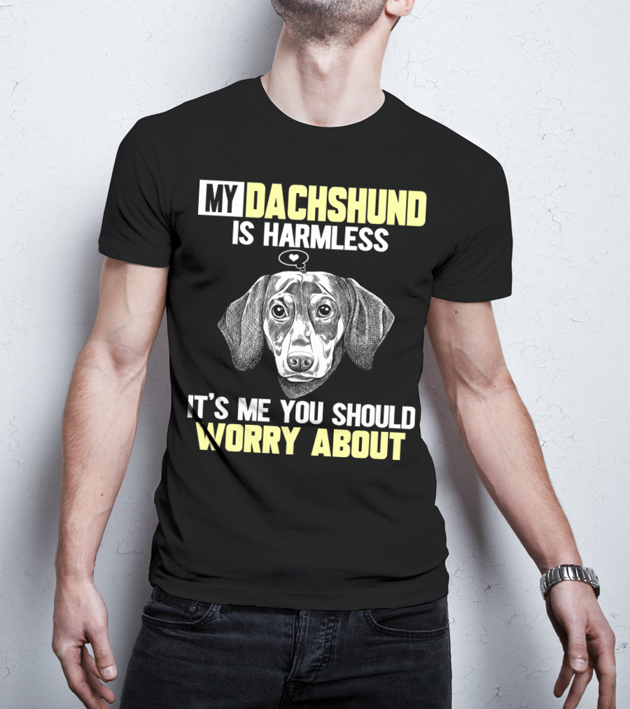 My Dachshund Is Harmless It's ME You Should Worry About T-Shirt