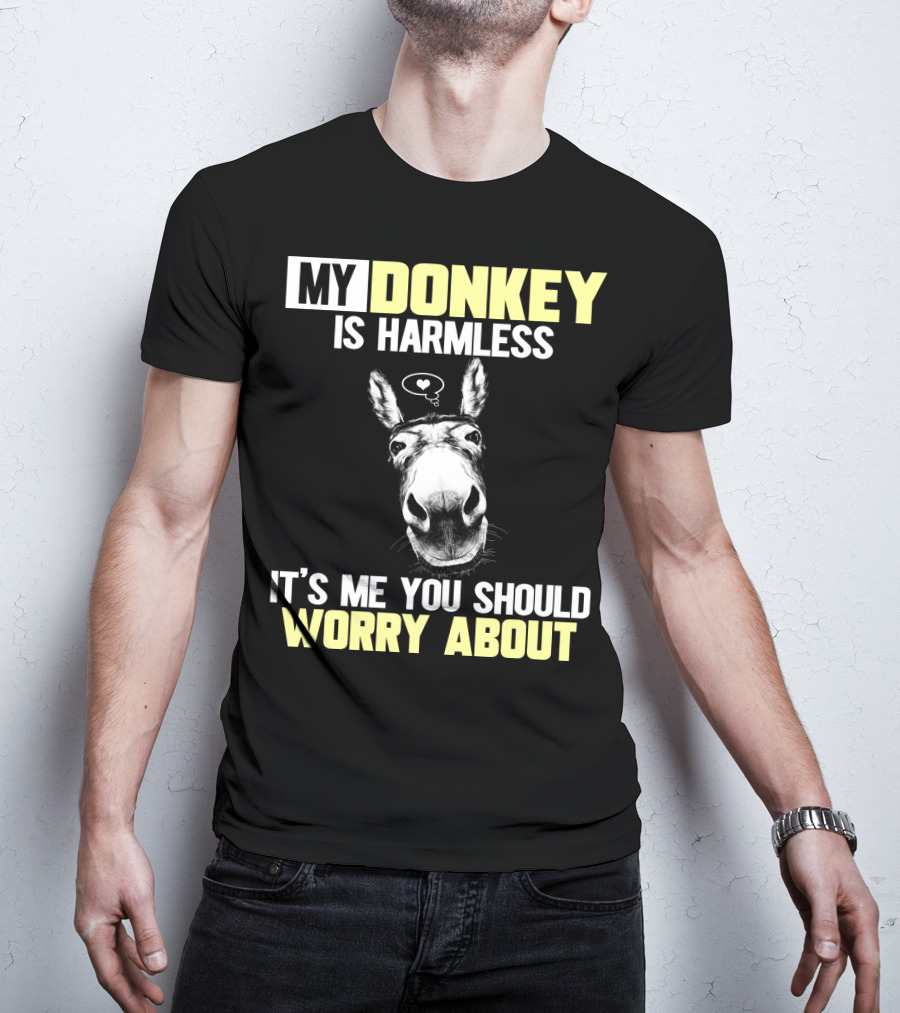 My Donkey Is Harmless It's ME You Should Worry About T-Shirt